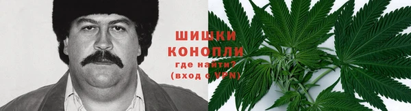 дмт Алзамай