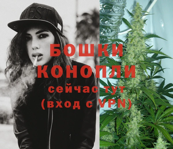 гидра Кинешма