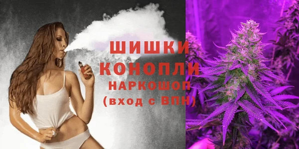 дмт Алзамай