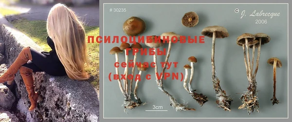 каннабис Абдулино